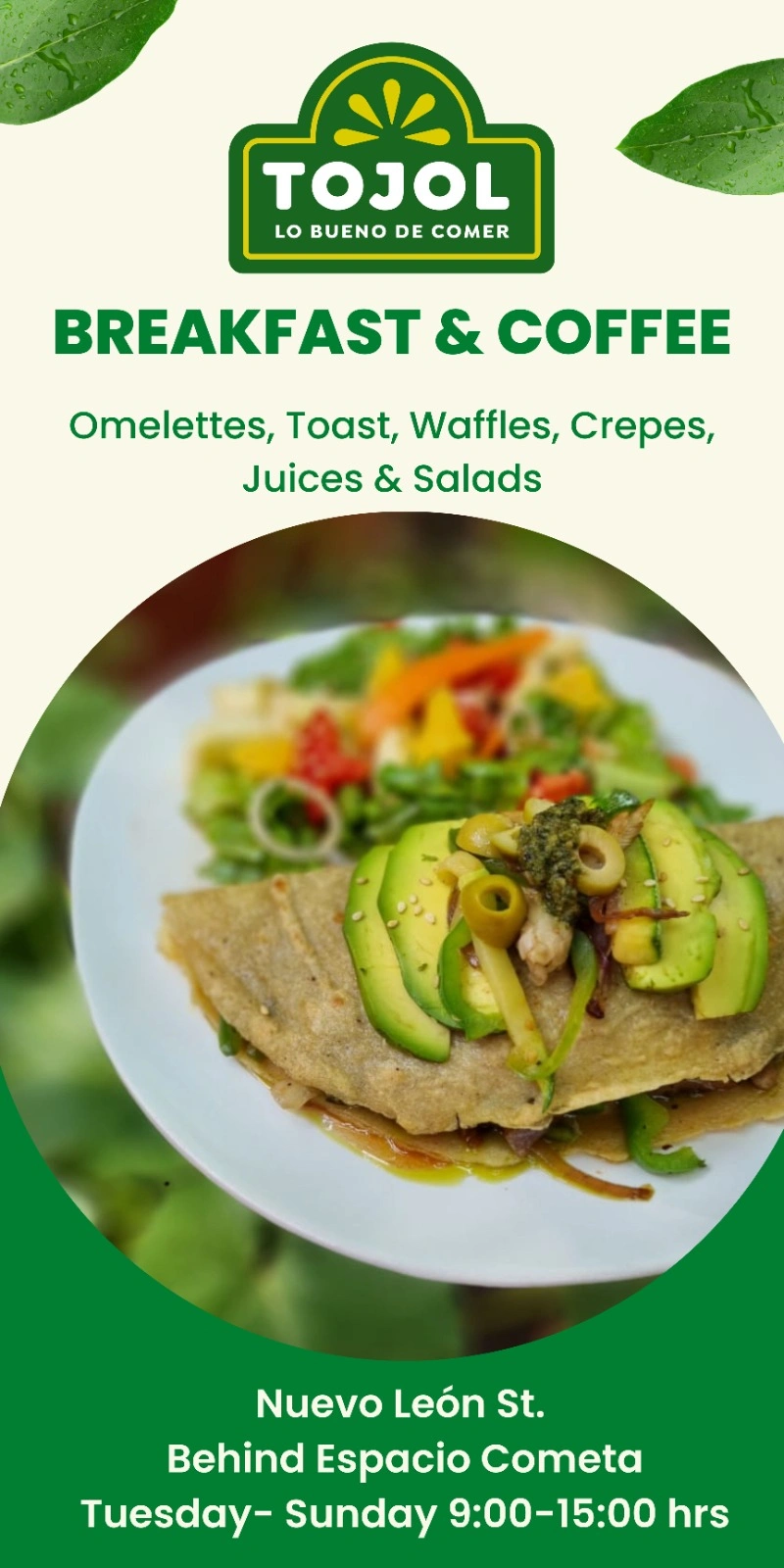 Healthy avocado toast with fresh vegetables